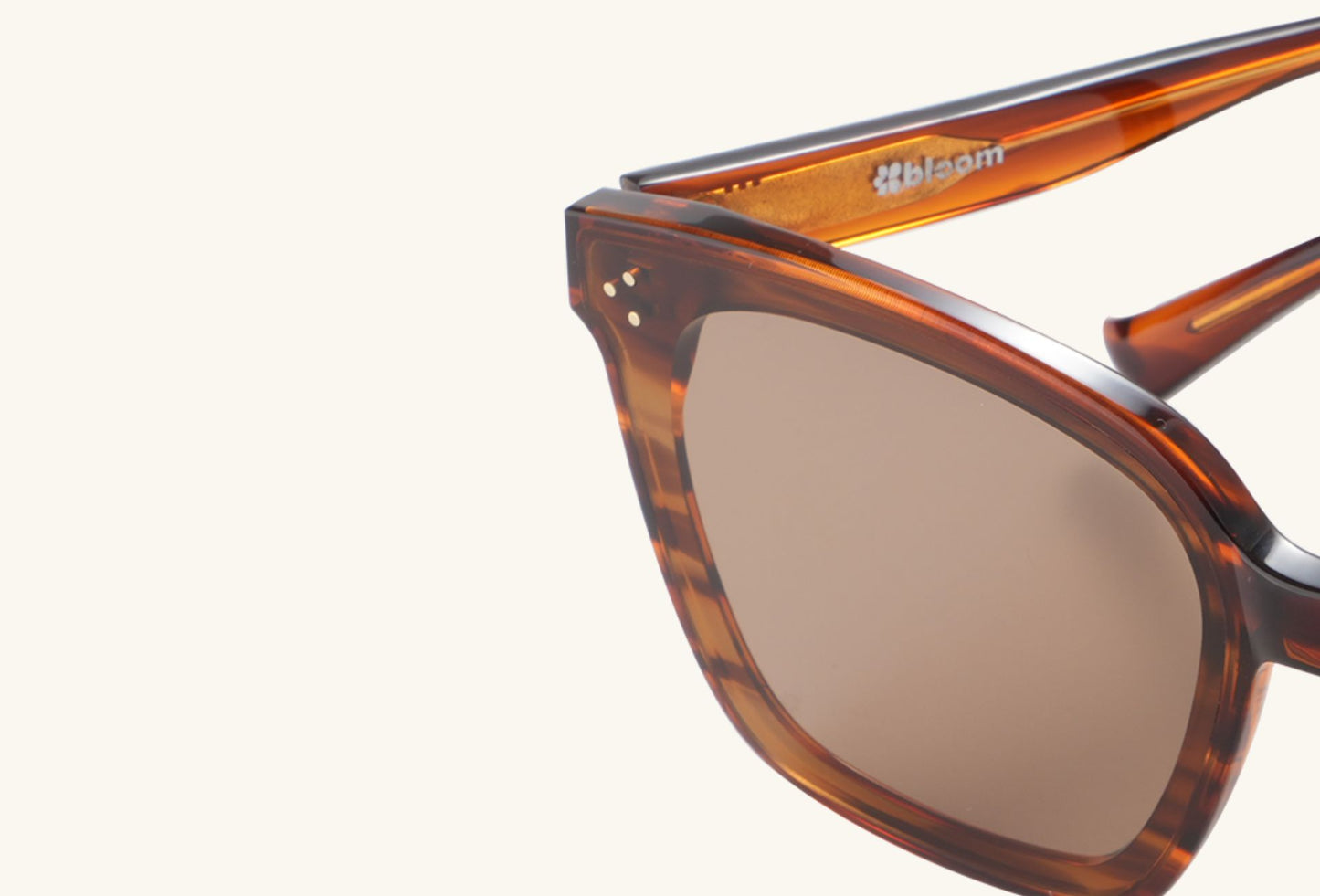 BuzzBloom aerospace nylon sunglasses lens detail showcasing clarity