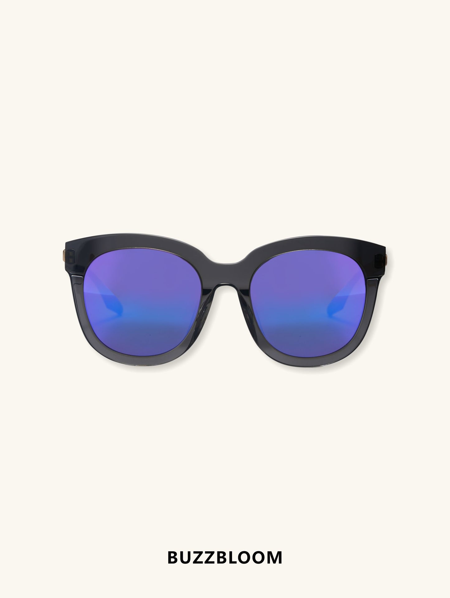 Aerospace-grade nylon sunglasses with large black frame and blue mirrored lenses front view